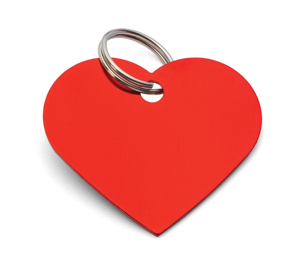 Animal shelters moving forward poststorm News, Sports, Jobs Cape